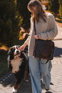 Woman walking a Bernese Mountain Dog on a leash in an outdoor setting