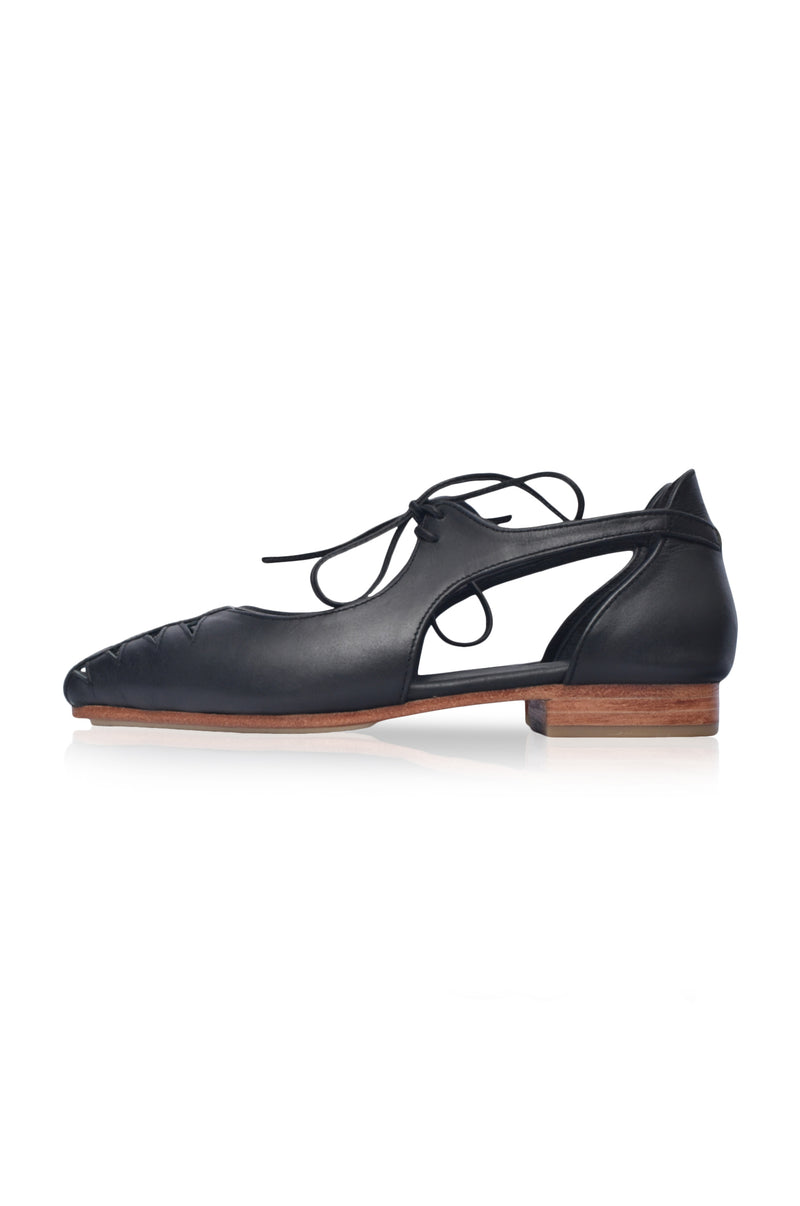 Eden Pointy Toe Ballet Flats