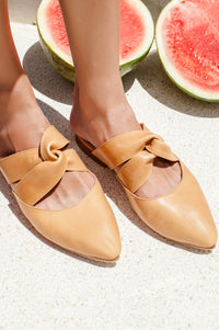 Taj Mahal Pointy Toe Mules